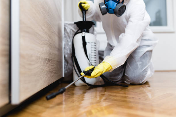 Best Insect Control  in Woodacre, CA