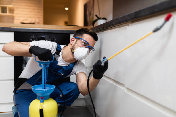 Best Emergency Pest Control  in Woodacre, CA
